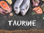 Top 10 Foods Highest in Taurine